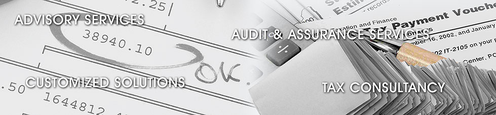 Chartered Accountancy services